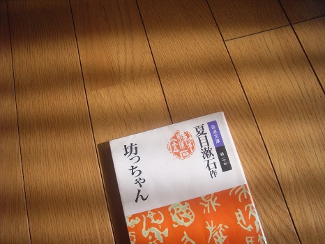 book_souseki_b