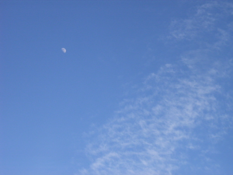 今日は、上弦の月。晴れたら秋空に白い月を眺めよう！／10/2=旧9/9・丙午