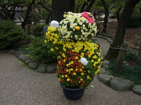東京の11月は、菊まつりが華やかに開催中です！／11/14=旧 閏9/22・己丑