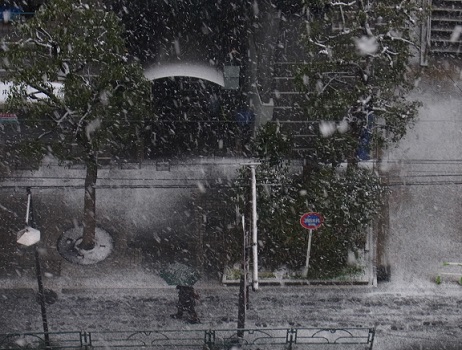 2015.1.30 雪って、風景をモノクロ写真にしちゃうよねぇ～！！