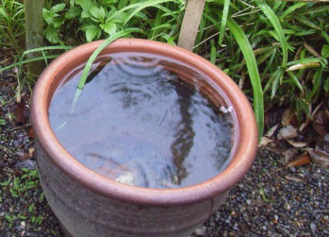 甕の水