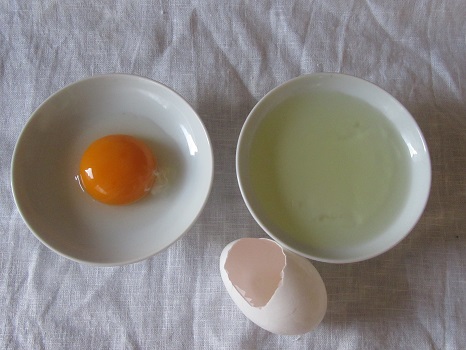 卵を分ける