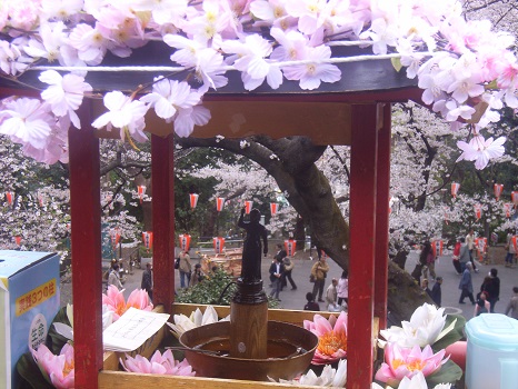 花に甘茶に、美しきお釈迦様の誕生祝い。今日は「灌仏会」です！／4/8=旧3/12・乙丑
