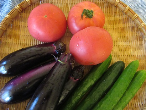 東北の畑から夏野菜がやってくれば、東京はやっと夏野菜の旬…な気がする。茄子も胡瓜もトマトもやっと安い！／8/22=旧7/20・丙子