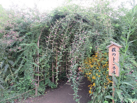 萩トンネル