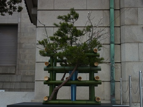 もう東京は「松の内」も終わり、街を寿いでいた正月飾りも今年は見納めです。早いなぁ～。／1/6=旧12/9・癸巳