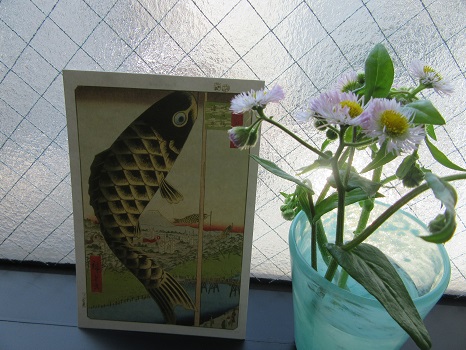 鯉のポストカード
