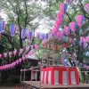 東京の盂蘭盆会は、あっという間に過ぎゆきて…。街は盆踊りの準備です。／旧暦・閏5/23・甲辰