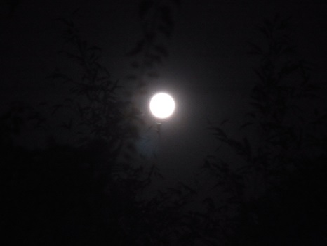 満月の中秋の名月