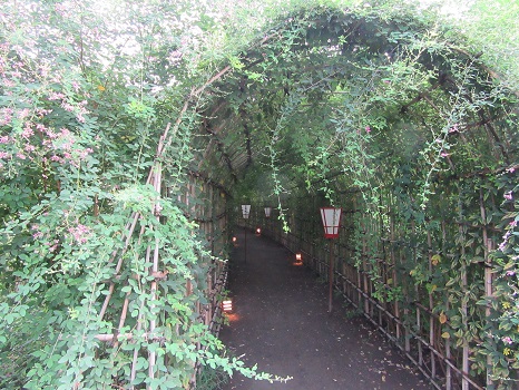 百花園の萩トンネル