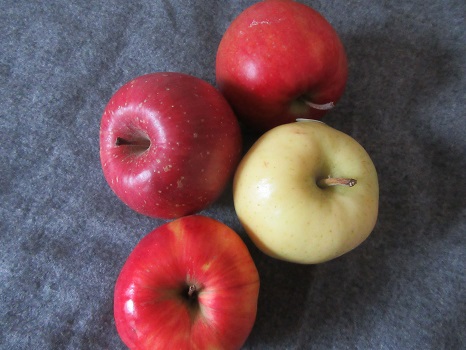 りんご4種