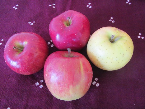 りんご4種