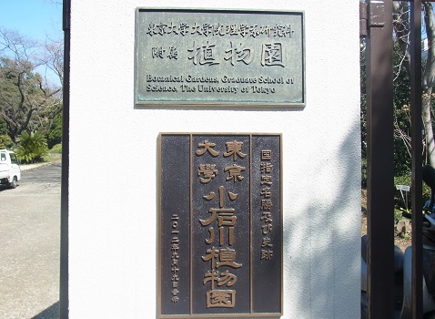 小石川植物園正門