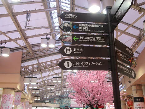 上野駅コンコースの桜