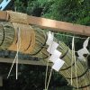 6月晦日は「夏越しの祓い」。今年は駒込天祖神社の野趣あふれる「茅の輪」くぐって、溜まった悪しきものを落とします。／旧暦5/17・癸巳