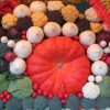 今日の「勤労感謝の日」は、かつて「新嘗祭」。今日は、神様に秋の野菜や米を供える収穫祭でもあるのです。／旧暦10/9・庚午