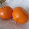 果物コーナーのいちばんいいところには、春柑橘。ああ、もう果物の季節も春へと巡っておりますね🍊／旧暦1/12・甲申