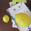 今日は、梶井基次郎の誕生日。いつものように『檸檬』読んでささやかな誕生祝。旬の終わり間際のレモンもあるよ🍋／旧暦１/24・庚寅