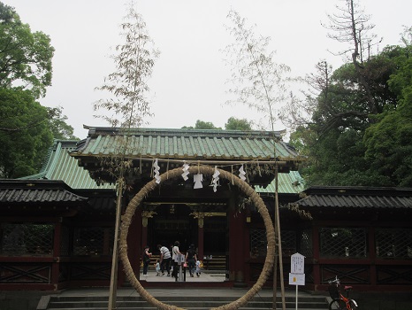 根津神社 茅の輪