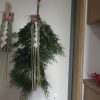 今年も「松迎え」で求めた「松」代わりの「檜」使って「正月飾り」。本日我が家の玄関に飾り、年神様にはこちらを依り代にお出で頂きたく(*’▽’)。／旧暦11/14・乙巳