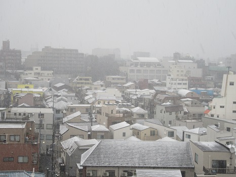 東京にも雪が降る