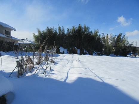 福島の雪景色