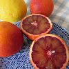 いよいよ国産「春柑橘」の旬が近づく。今年の食べ初めは、果肉が赤い「ブラッドオレンジ」＆甘くてびっくりな「はるか」🍊／旧暦1/26・丙辰