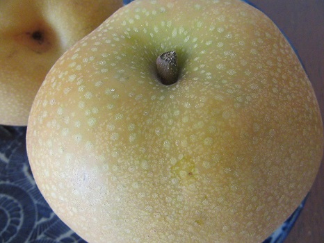 梨の表面