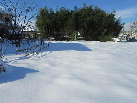 雪降り積む畑