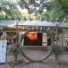 1年の折り返し「夏越の祓い」は、涼し気な駒込天祖神社へ。ここの茅の輪は野趣あふれ、清浄な草の香りがかすかに(*’▽’)／旧暦6/2・甲寅