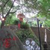 今年はどうか？やはり中止か？と思ったら、3年ぶりにご近所の富士塚・駒込お富士さんがお山開きです(*’▽’)／旧暦6/3・乙卯