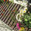 母の庭からお土産をもらって、今日帰京。野茨の実に菊花に。庭のある暮らしだと、土産は、ものすごく豪華になります。…私的には(*’▽’)／旧暦10/16・丙寅