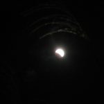 今月今夜のこの月は、特別な満月、皆既月食でした。日暮れて寒いけど、月を見上げる。なぜかネコたちも月を見た？／旧暦10/15・乙丑・満月