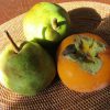 旬の時期が過ぎゆく前に「洋梨」と「次郎柿」を。しばし飾って眺めて嬉し、食べて美味しい。…けど、今日はこのまましばし眺めていよう(*’▽’)／旧暦10/22・壬申