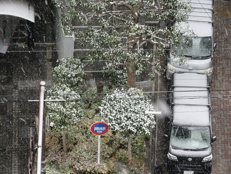 東京も大雪