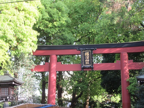 根津神社の鳥居
