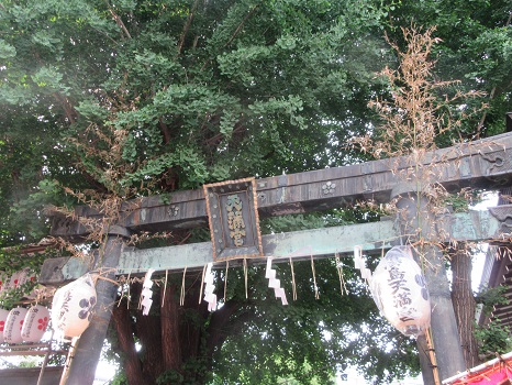 湯島天神の鳥居